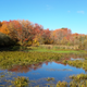 Illustration for article titled 48 Photos Of Autumn Around The World